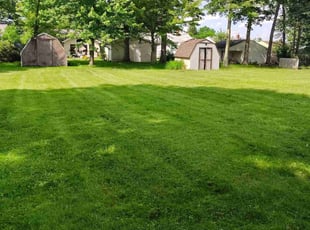 Monica M.'s lawn service service result