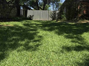 Cherokee B.'s lawn maintenance service result