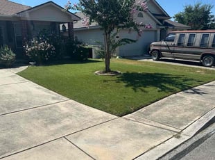 Rachel B.'s lawn maintenance service result