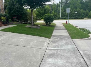 Dottie C.'s lawn care service result