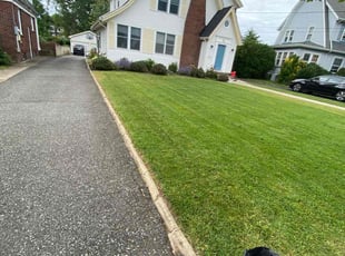 Christi R.'s lawn care service result