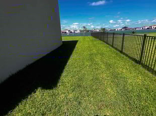 Ilise D.'s turf maintenance service result
