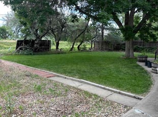 Bobby H.'s grass cutting service result