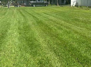 Deborah F.'s grass maintenance service result