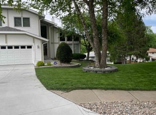 Jonathan V.'s turf maintenance service result