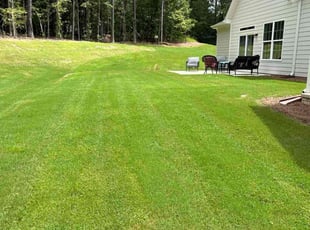 Leslie N.'s lawn care services service result