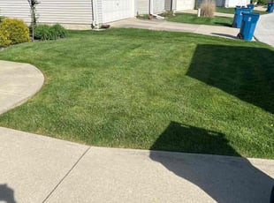 Peter S.'s lawn service service result