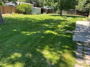 Lulu n.'s lawn maintenance service result