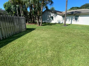 Sarah G.'s lawn service service result