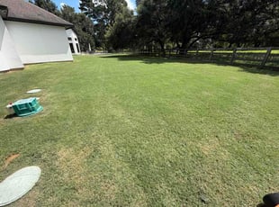 Bobbi B.'s lawn service service result