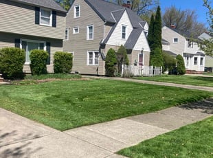 Robin S.'s landscaping service result