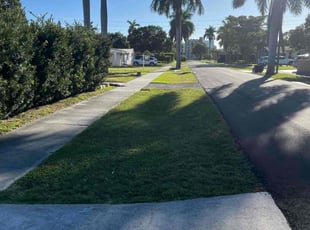 Clayton R.'s lawn care service result