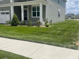 George H.'s turf care service result
