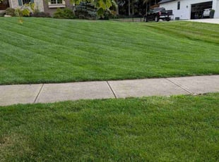Vanity H.'s grass cutting service result