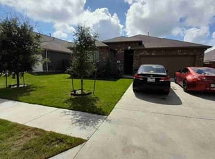 Sharon M.'s turf maintenance service result
