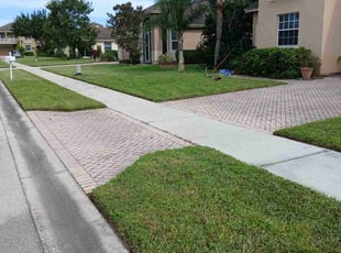 Jacob P.'s turf maintenance service result