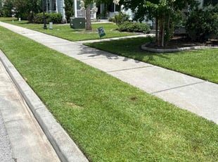 Ethan J.'s turf maintenance service result