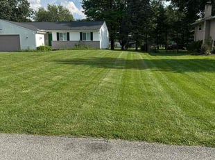 Zach H.'s grass maintenance service result