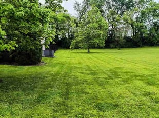 Brandon L.'s lawn service service result
