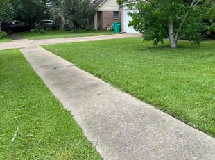 Olivia W.'s lawn care service result