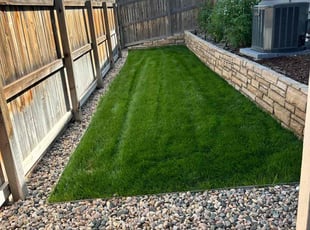 Pam F.'s grass cutting service result