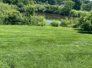 Faith R.'s lawn care services service result