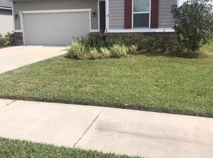 Jennifer R.'s grass maintenance service result