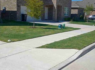 Larry J.'s turf care service result