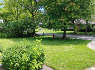 James W.'s turf maintenance service result