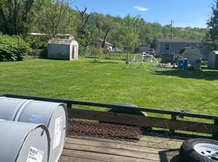 Patrick B.'s turf care service result
