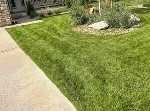 Teresa S.'s lawn maintenance service result