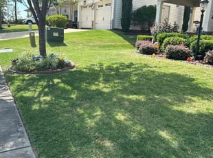 Kayla C.'s grass cutting service result