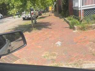 Colin C.'s turf maintenance service result