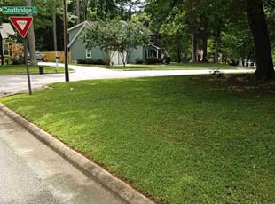 Deanna P.'s lawn maintenance service result