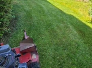 Stephanie D.'s lawn service service result