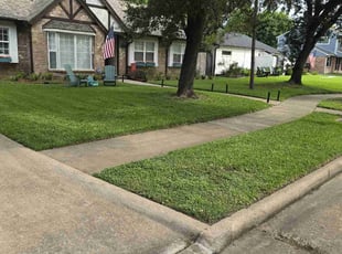 Artis S.'s grass cutting service result