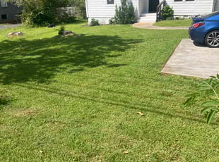 Deborah F.'s grass maintenance service result
