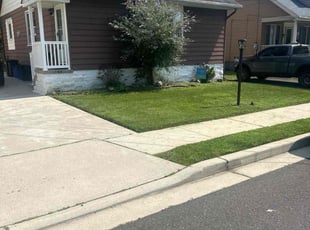 Stephanie B.'s grass cutting service result