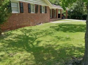 Hans B.'s lawn maintenance service result
