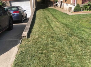 Mimi S.'s lawn maintenance service result