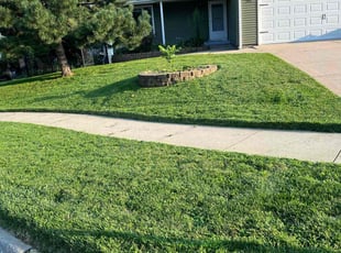 Kelsey H.'s lawn care service result