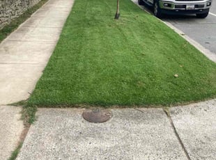 Lisa M.'s lawn care services service result