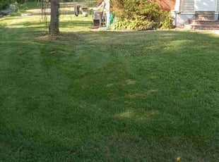 Lela G.'s turf maintenance service result
