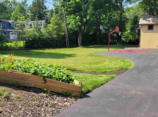 Carlos G.'s turf care service result