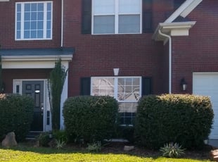 Brenda F.'s Bush Trimming service result