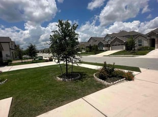 Bernard B.'s lawn care service result