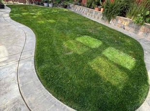 Luke D.'s lawn maintenance service result