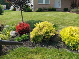 Robin H.'s grass cutting service result
