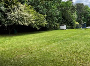 Shirley M.'s lawn service service result