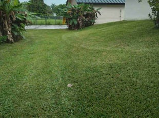 Kait S.'s lawn service service result